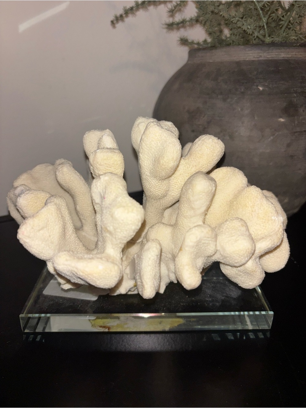 Natural-Style Cream Coral Table Accent Decor